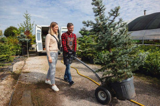 Best Tree Stump Removal  in Omro, WI